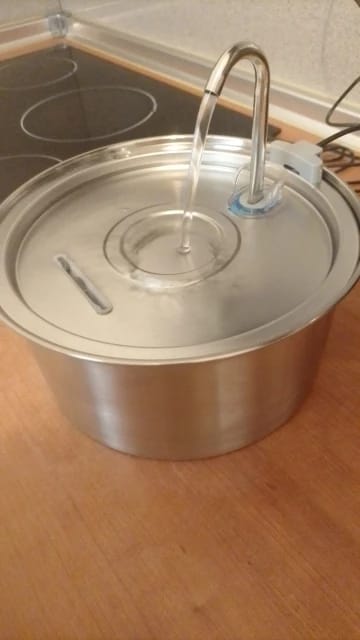 Customer photo review of Fontaine à eau Anti-Bactérienne - Chien & Chat