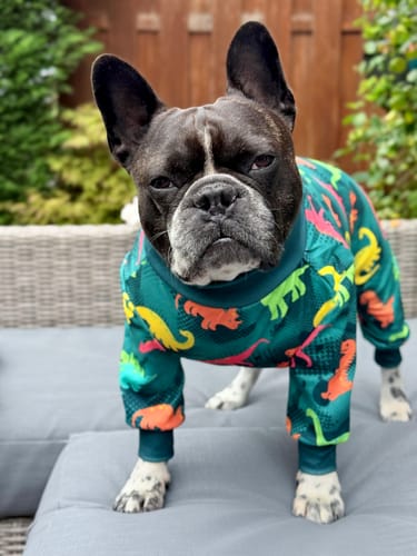 Customer photo review of Dog Pajama - Dinosaurs