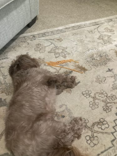 Customer photo review of USA Turkey Tendons