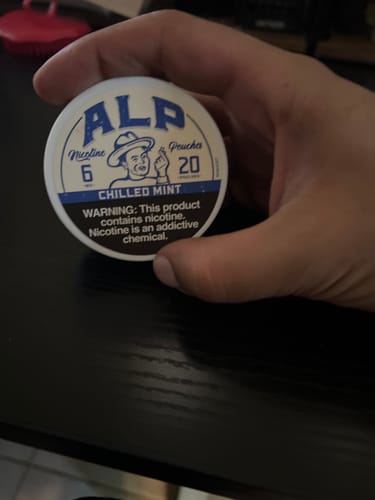 Customer photo review of Chilled Mint Nicotine Pouches