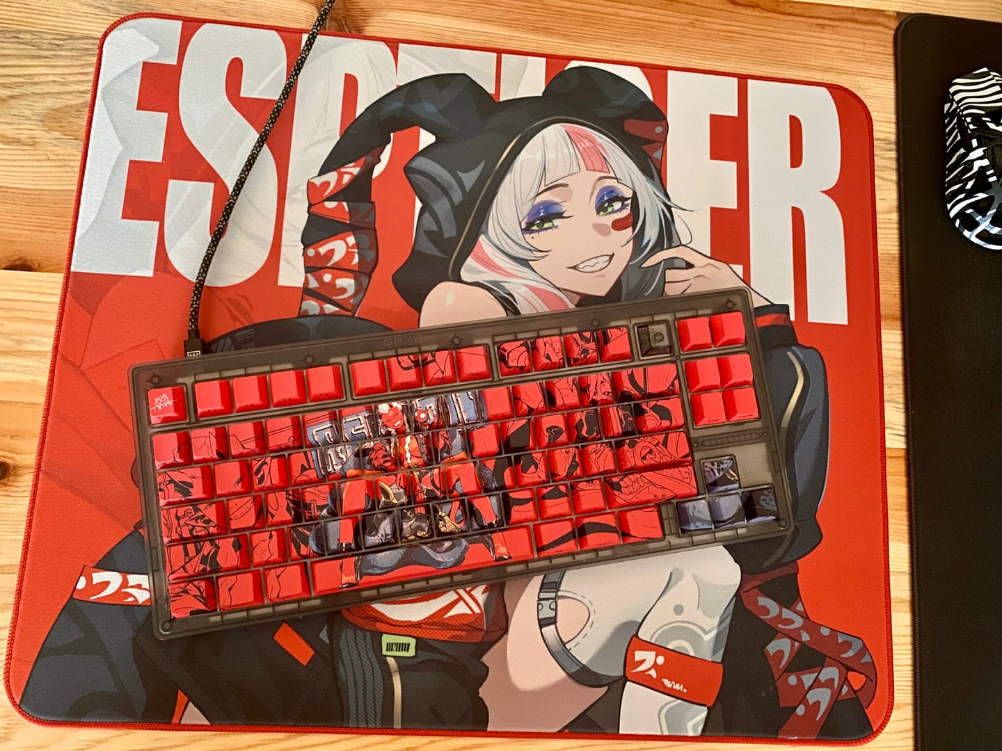 Customer photo review of ESPTiger Tang Dao Pioneer Series Mousepad