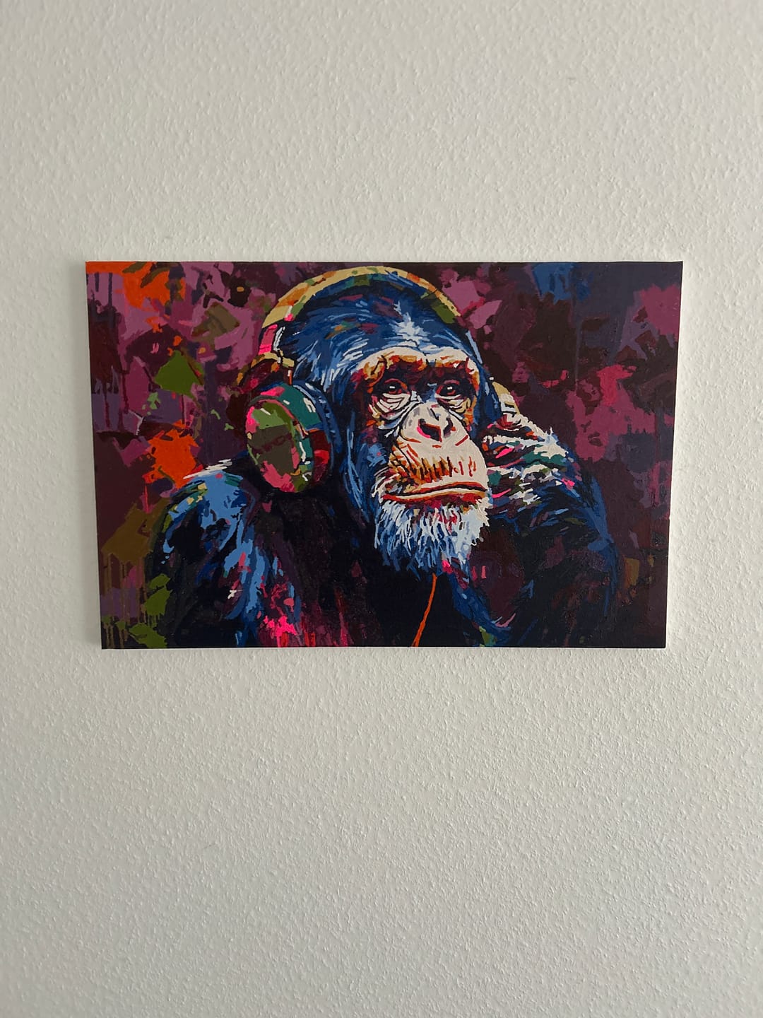 Customer photo review of Malen nach Zahlen - Musical Monkey - Premium Painting