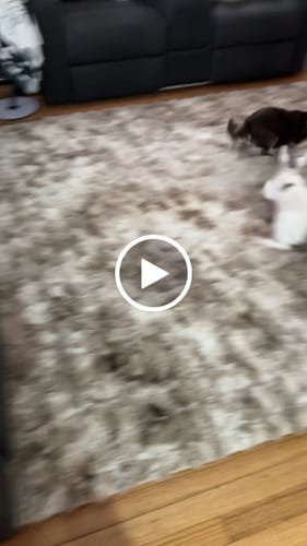 Customer video review of The Mellow Mat® Snow Mink Faux Fur (Soft Touch Sensory Tatami Rug)
