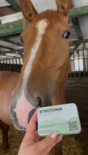 Customer photo review of Strotonin Horse Support