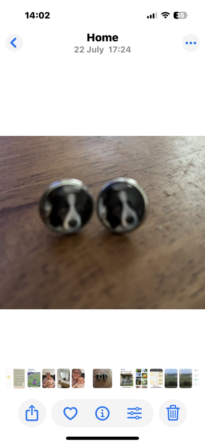 Customer photo review of Live Customization Glass Pet Stud Earrings