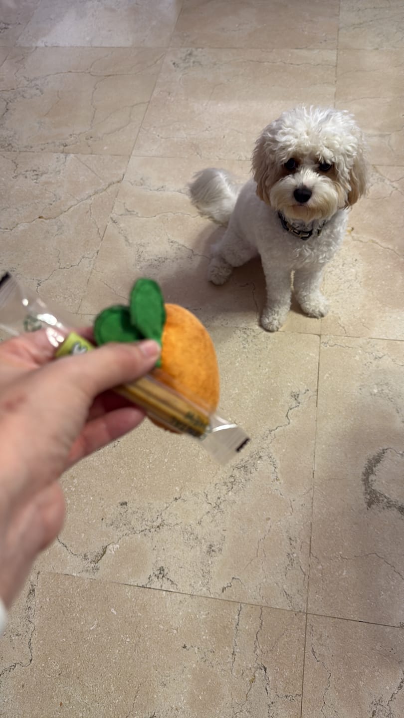 Customer photo review of Dental Chew • Large Package