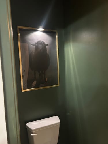 Customer photo review of Black Sheep Print