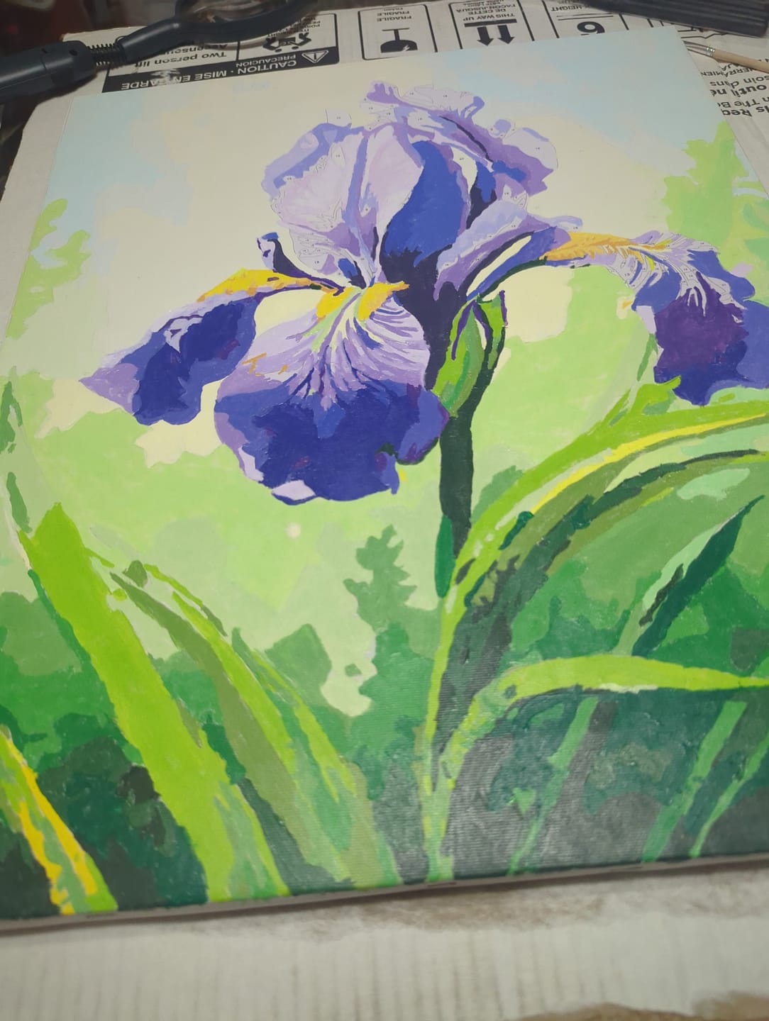 Customer photo review of Sunlit Iris