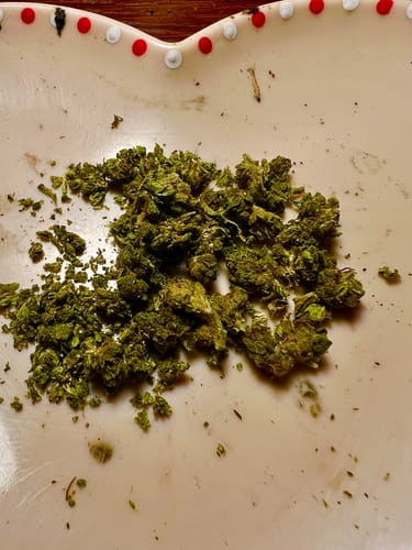 Customer photo review of Gold Spectrum THCA Flower - Top Quality Strain of the Month