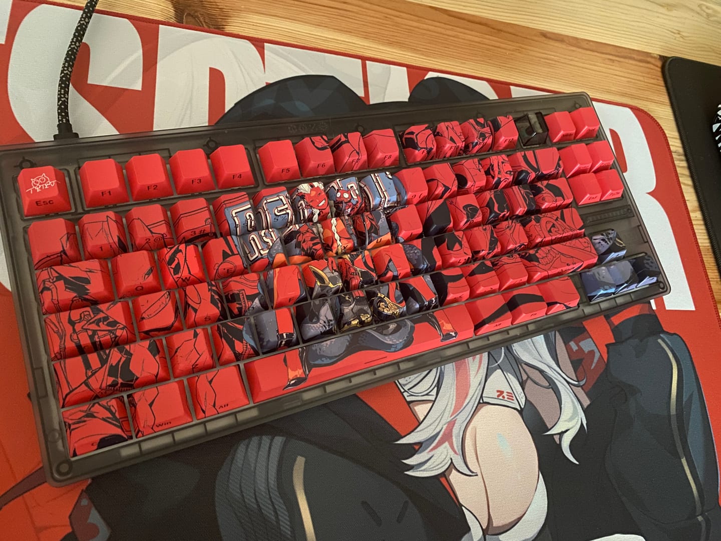 Customer photo review of X-Raypad x TERU "Red Tail" PBT Tuş Takımı