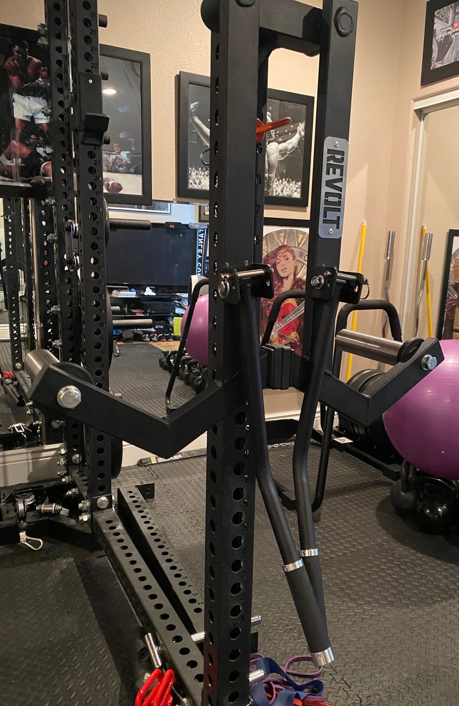 Customer photo review of Revolt Lateral Raise Attachment