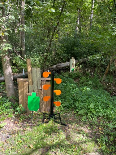 Customer photo review of 6" x 3/8" AR500 Steel Target Dueling Tree Stand