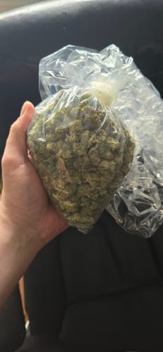 Customer photo review of Sour Diesel - Bulk - Sativa