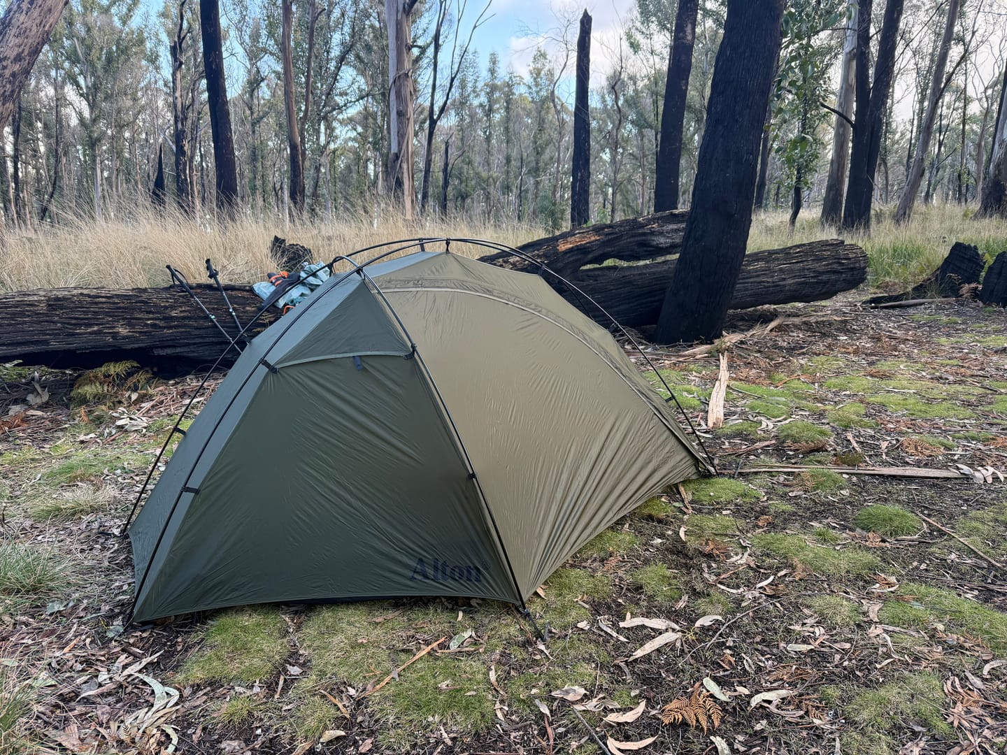 Customer photo review of Lightweight Tent - 1P