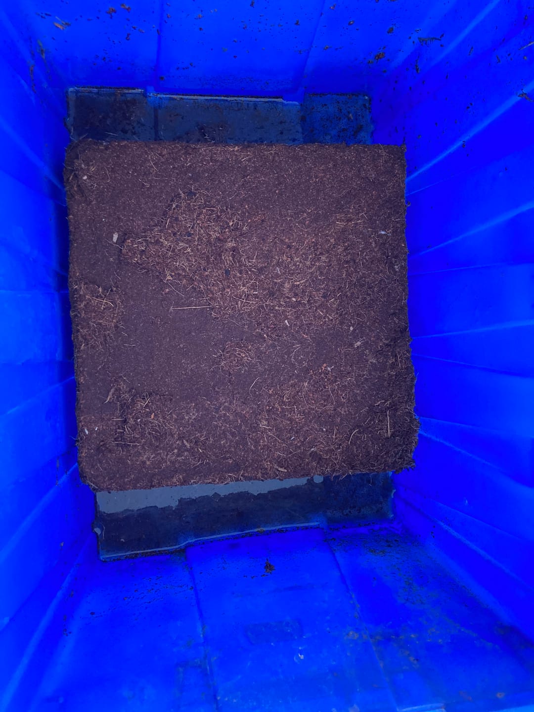 Customer photo review of Fibra de Coco Fina en Bloque – 5 kg (Rinde 60 L Hidratada)