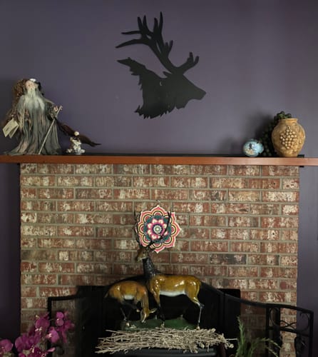 Customer photo review of Navidium Shipping Protection