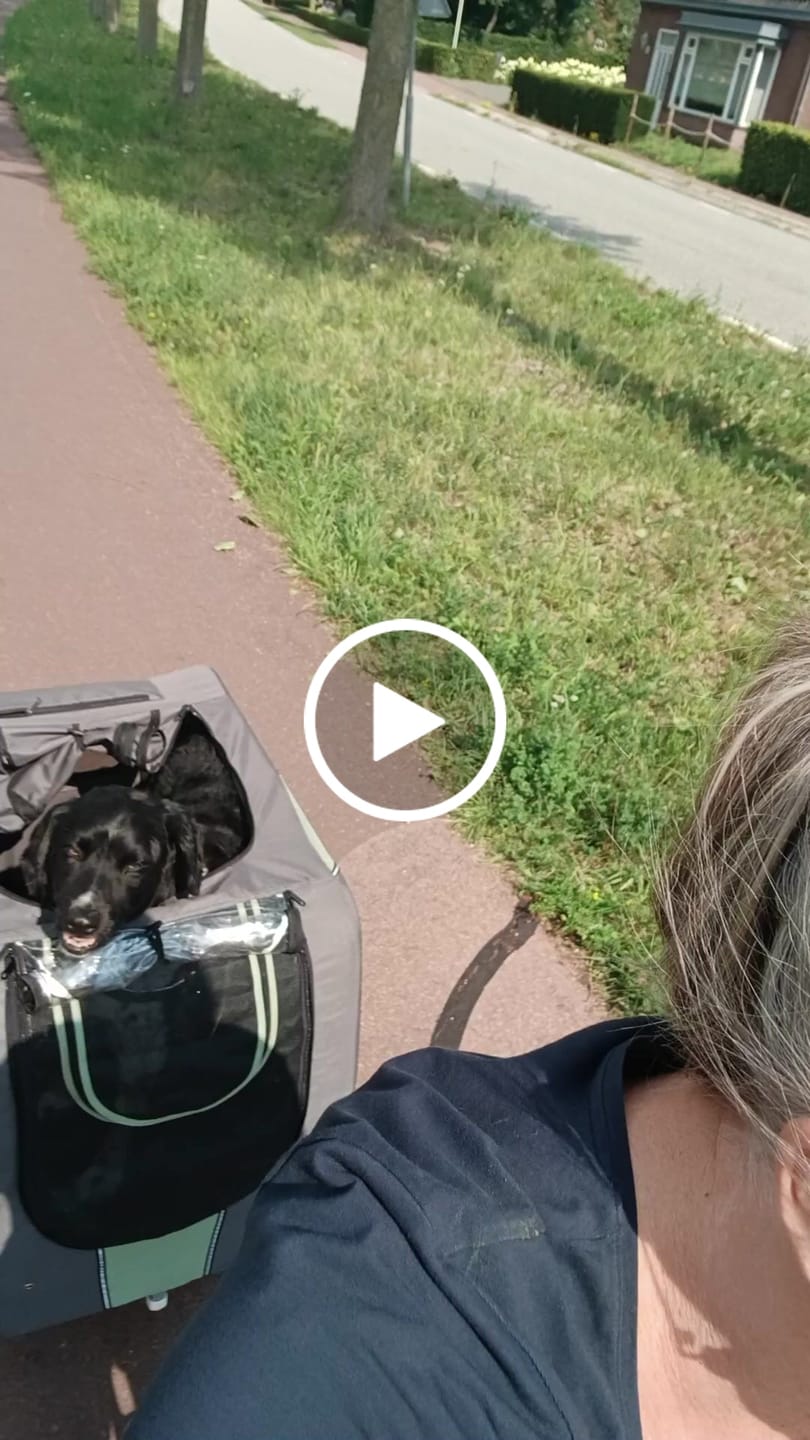 Customer video review of GRUNDIG E20 Falt-E-Bike 20''