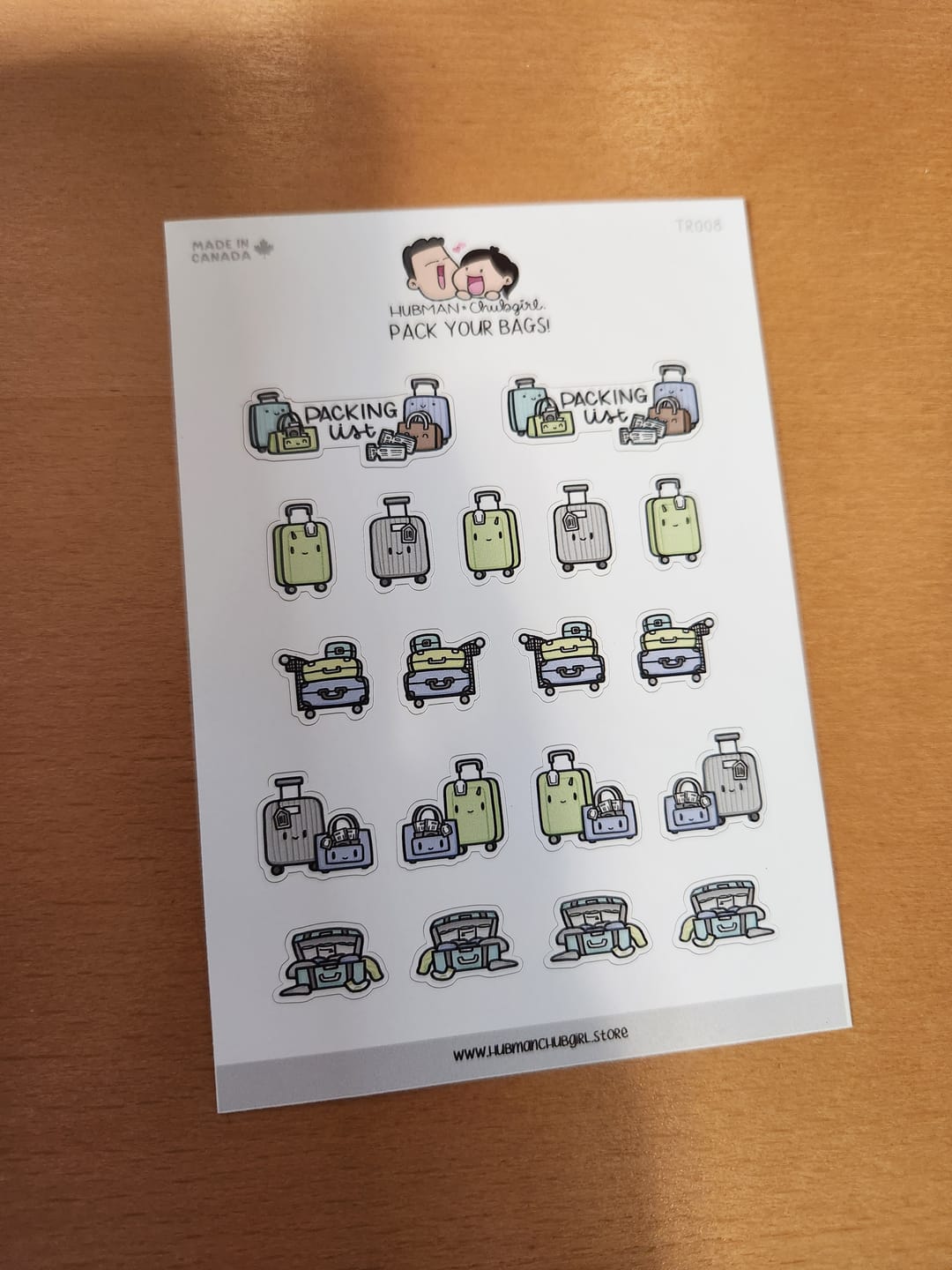 Customer photo review of Pack Your Bags Planner Stickers