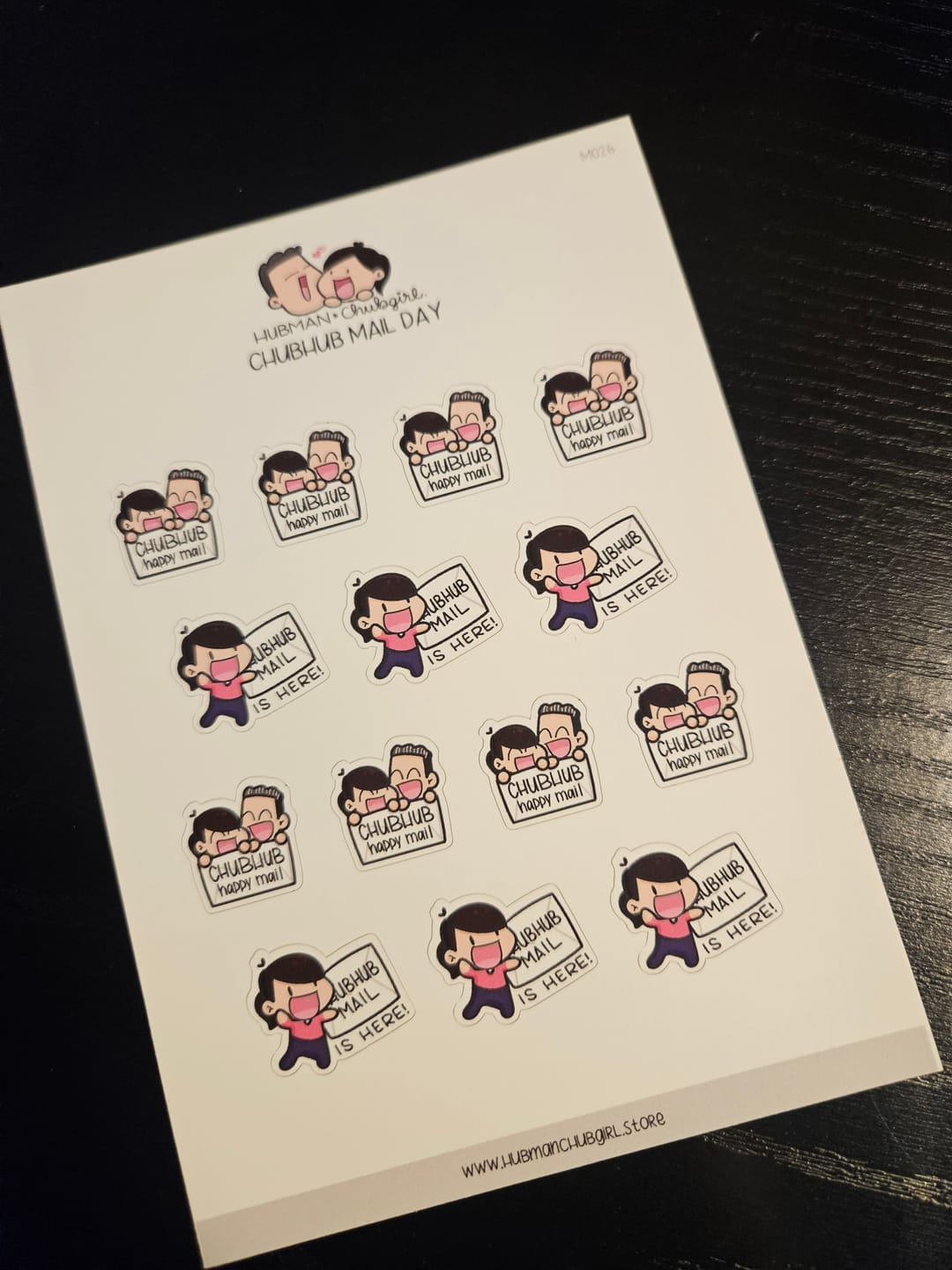 Customer photo review of Chubhub Mail Day Planner Stickers
