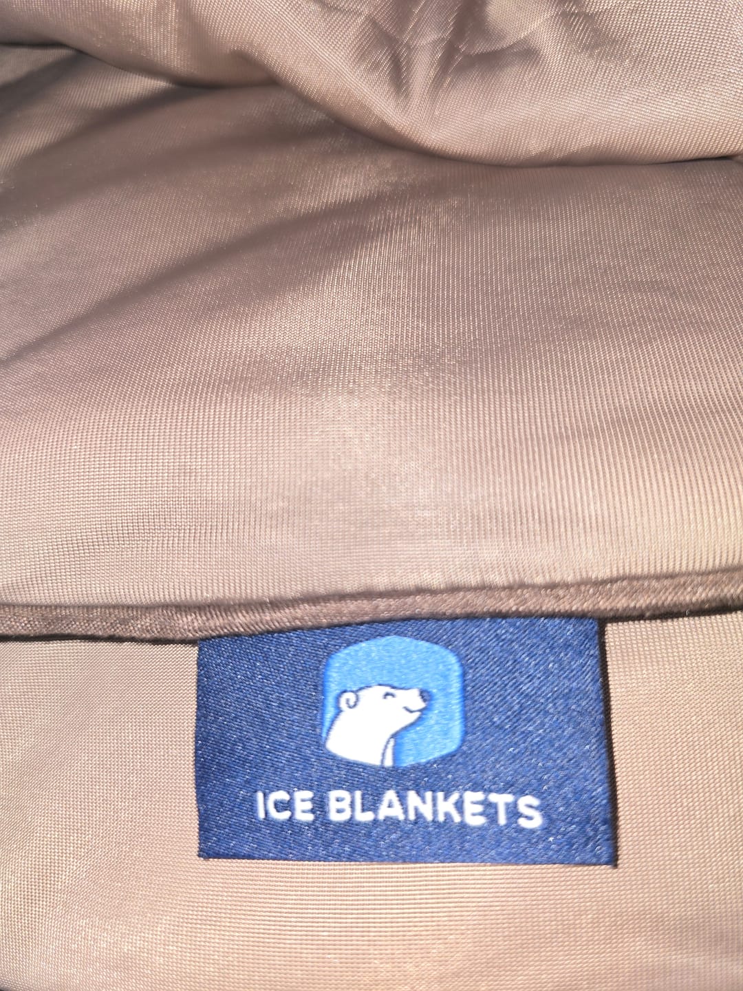 Customer photo review of The Ice Blanket