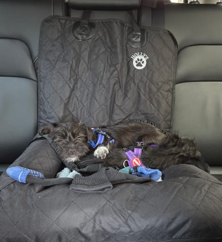 Customer photo review of Car Seat Cover