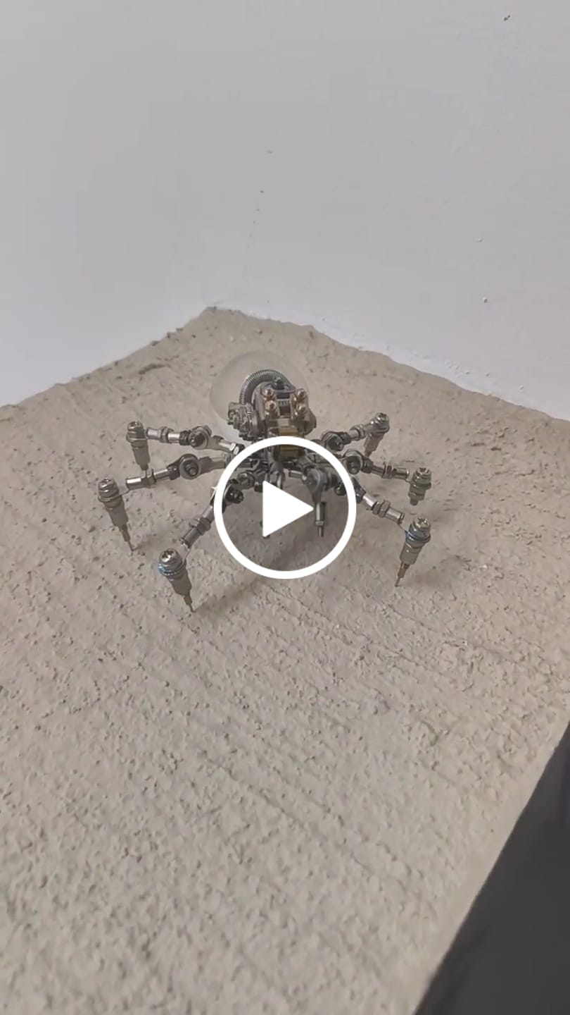 Customer video review of Crystal Lamp Jumping Spider