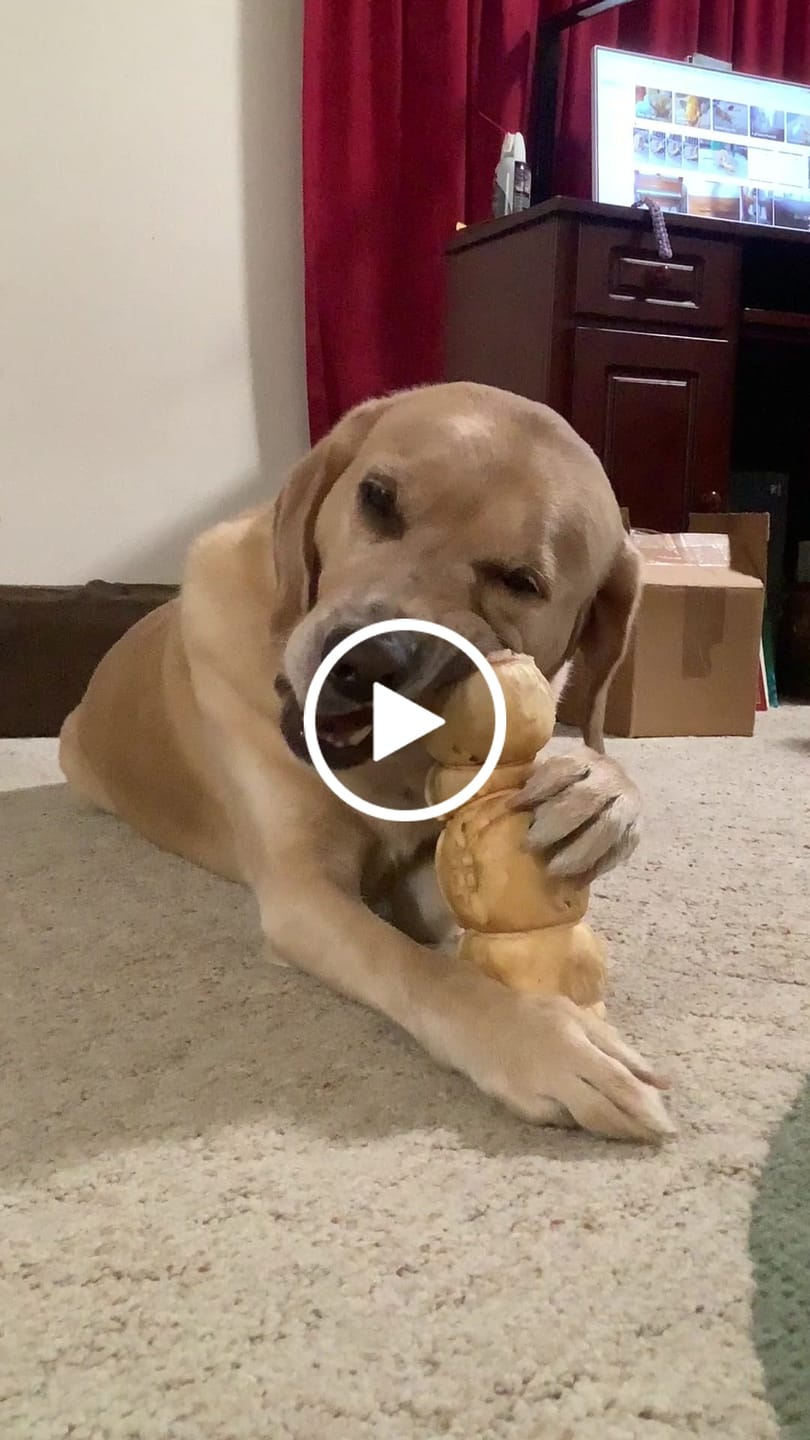 Customer video review of 10-12 Inch Peanut Butter Cheek Roll