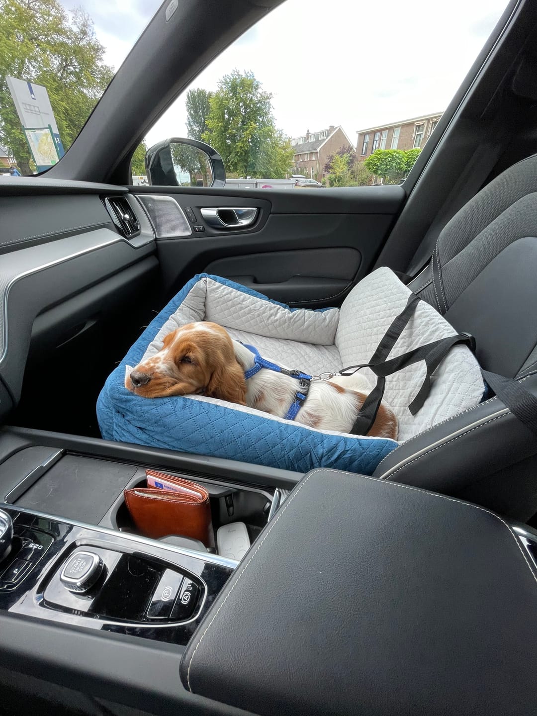 Customer photo review of Pet Perfect luxe autostoel hond