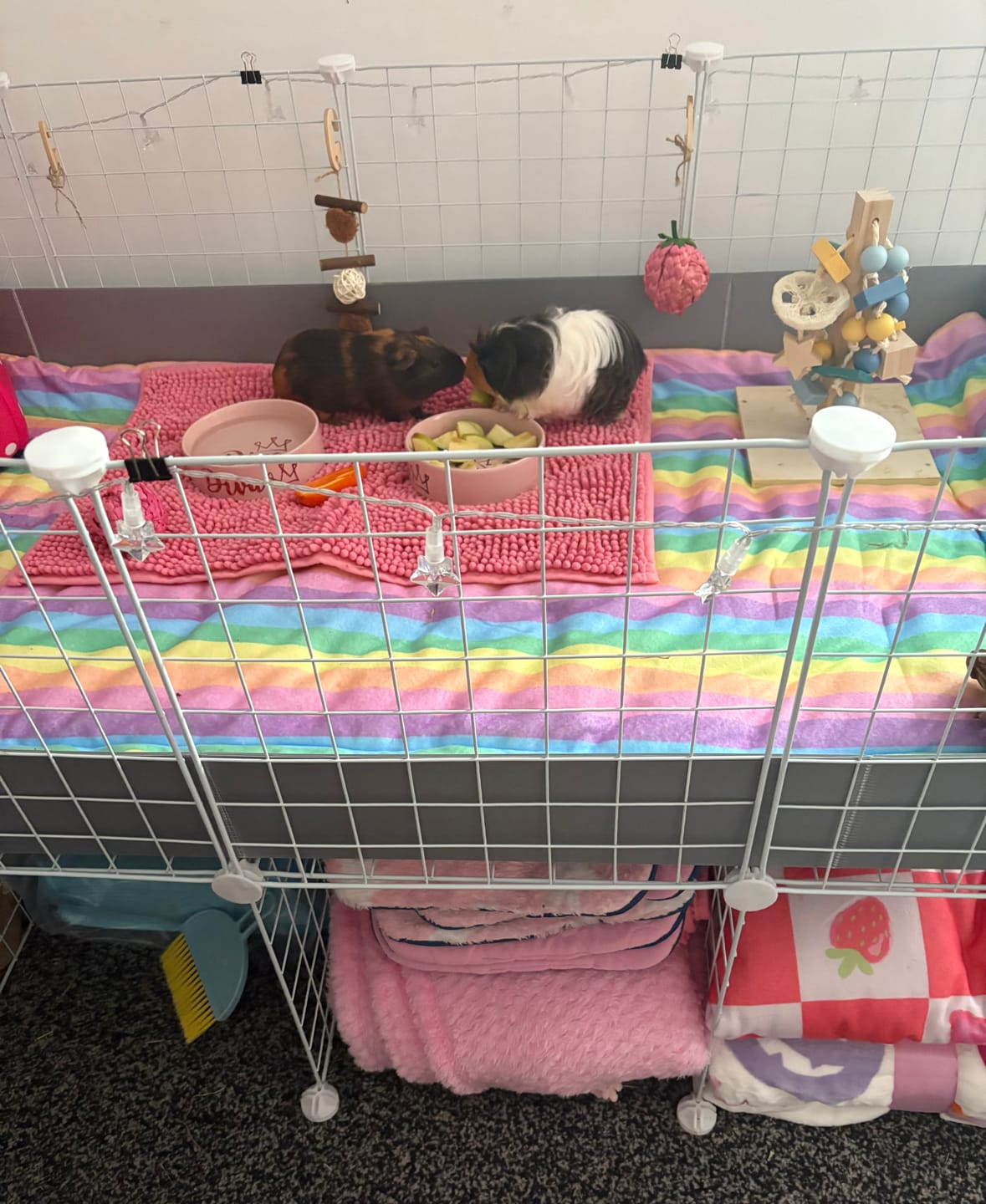 Customer photo review of Fleece Liners | Radiant Rainbow