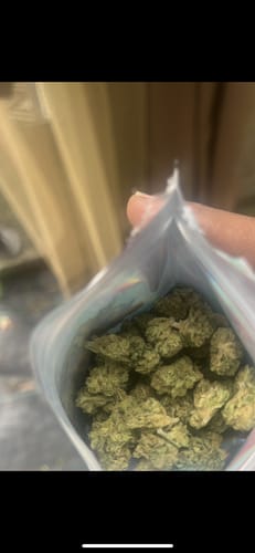 Customer photo review of Greenhouse Smalls