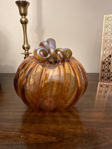 Customer photo review of the Harvest Pumpkin