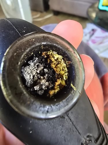 Customer photo review of Gold Spectrum THCA Flower (Top) - Lemon Vuitton