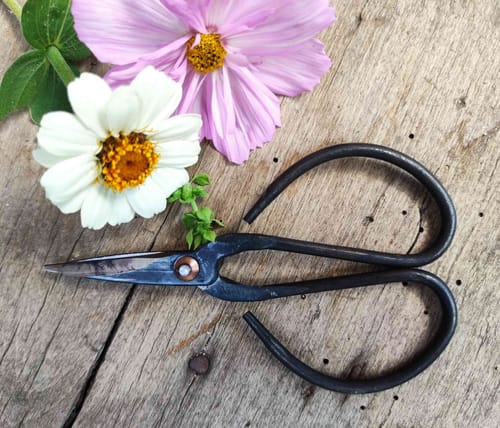 Customer photo review of Bonsai-Schere