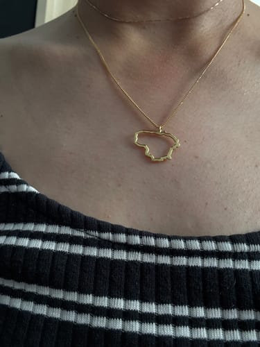 Customer photo review of Paauksuotas Sidabrinis pakabukas "Lietuva"