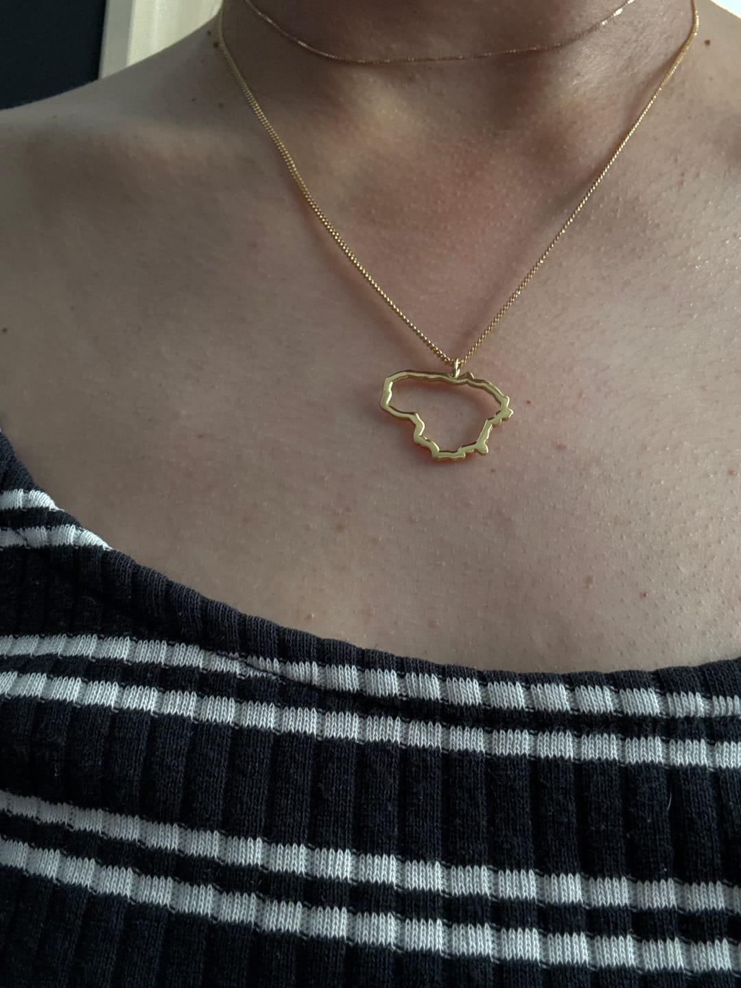 Customer photo review of Paauksuotas Sidabrinis pakabukas "Lietuva"