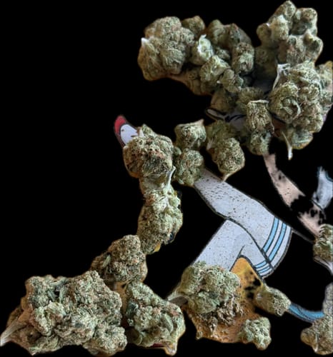 Customer photo review of SFV OG  - 14 Grams - Indica