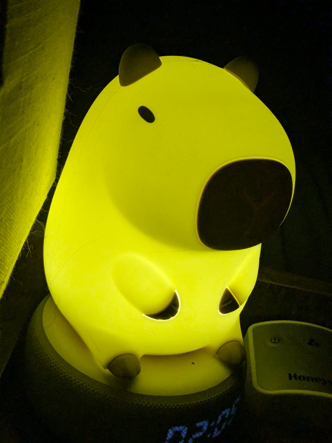 Customer photo review of MeWaii® Capybara Squishy Night Light - Perfect Gift 🎁