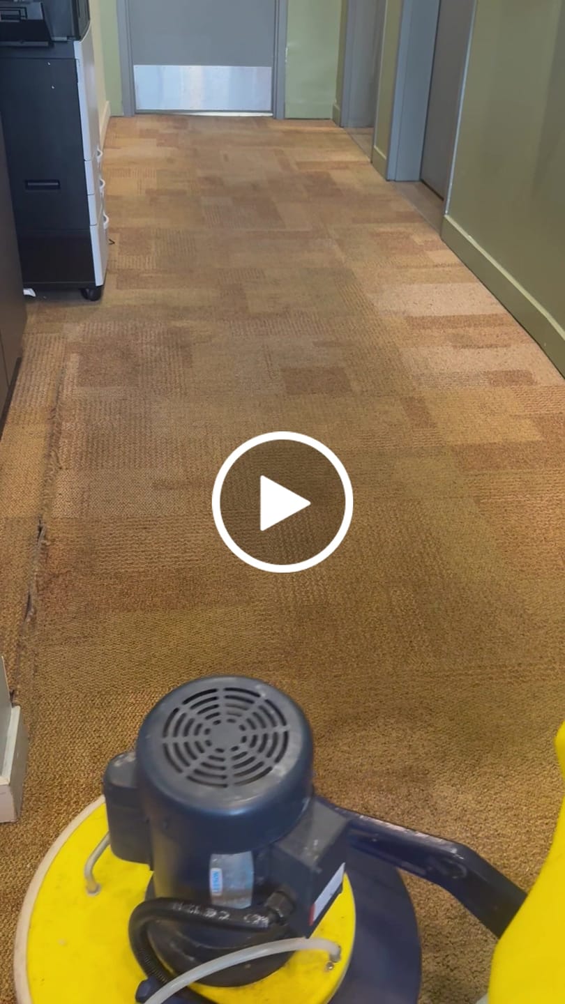 Customer video review of • Releasit Encap-Punch (4 Gallon) Carpet Cleaning Encapsulation Pre-Spray [Encap]