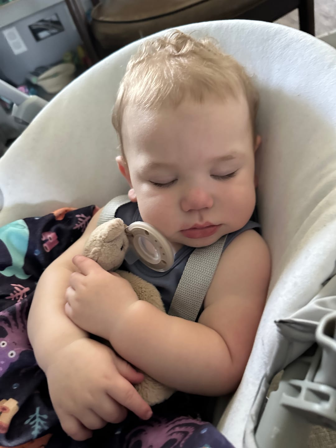 Customer photo review of Pacifier Buddy Milo the Monkey