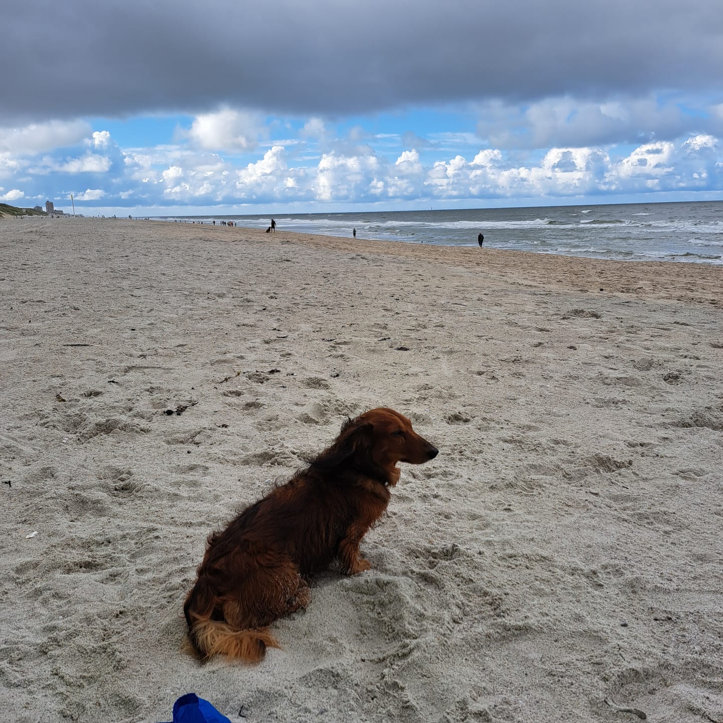 Customer photo review of Bier & Wuff - Individuelles T-Shirt