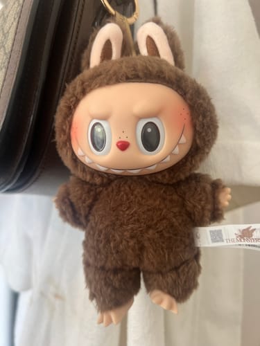 Customer photo review of Pop Mart Labubu The Monsters Tasty Macarons Vinyl Plush Pendant Single Blind Box