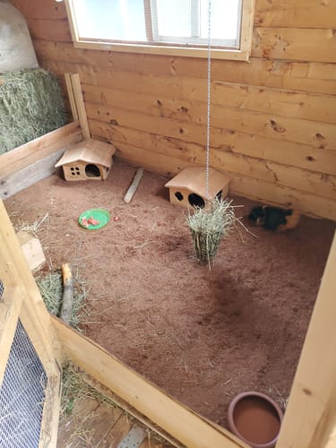 Customer photo review of Kleintiereinstreu