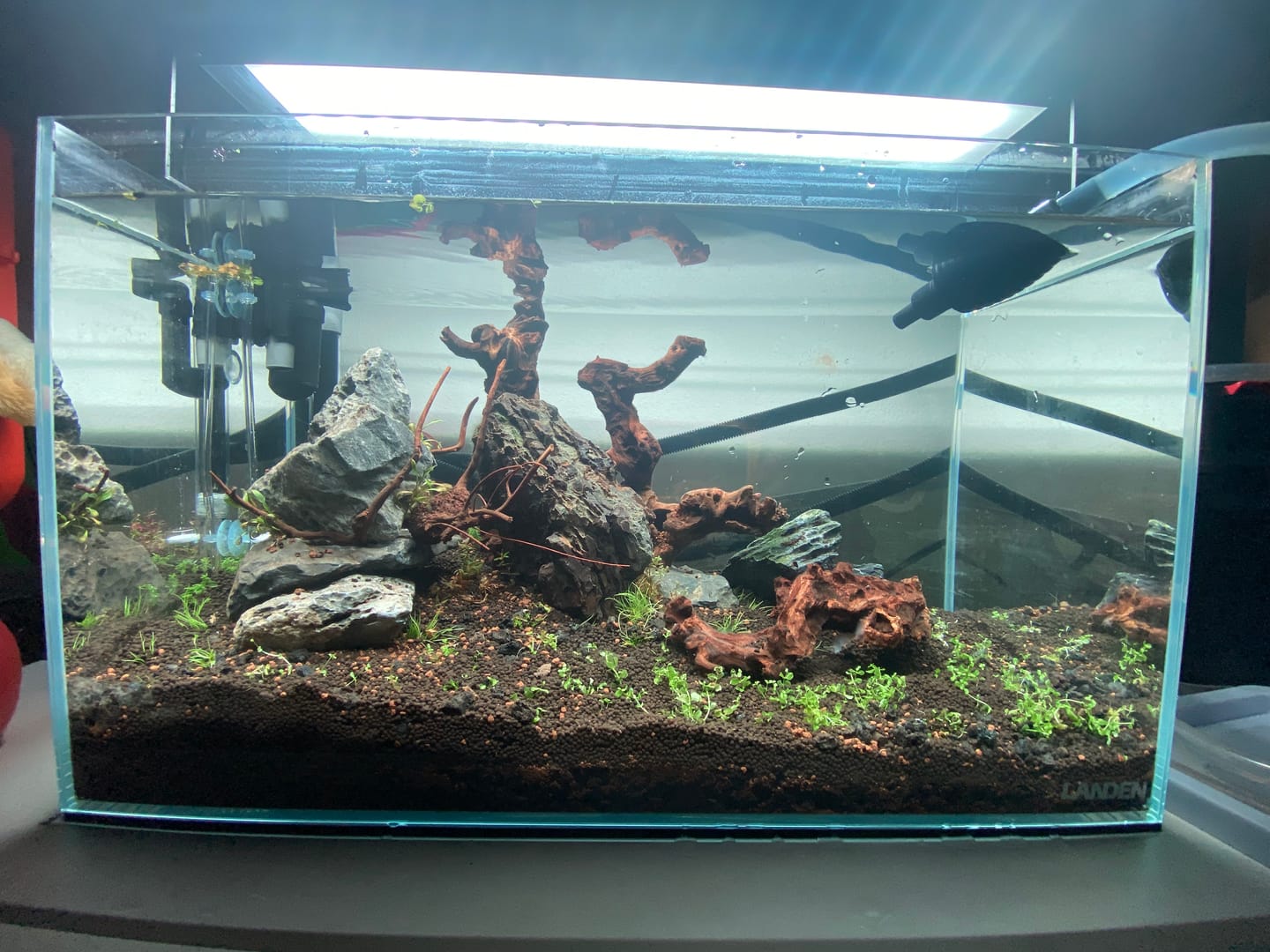Customer photo review of Chihiros WRGB II Slim LED Light