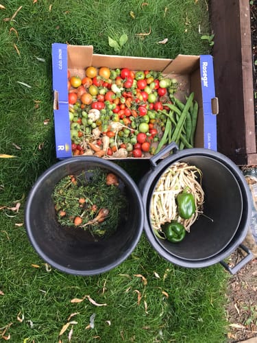 Customer photo review of Oil Pulling Mouthwash - Sweet Orange