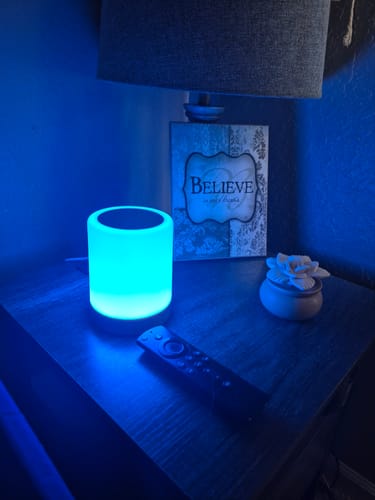 Customer photo review of Friendship Lamp