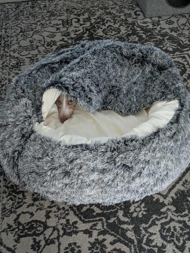 Customer photo review of Pet Cave Dog Bed - Removable Cover
