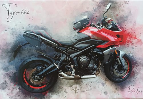 Customer photo review of Dein Motorroad als Aquarell Poster | Geschenk für Motorradfahrer