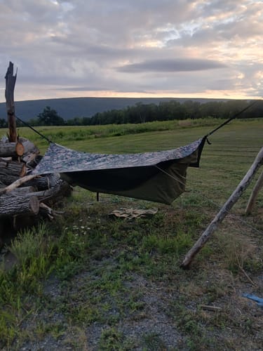 Customer photo review of Haven Safari