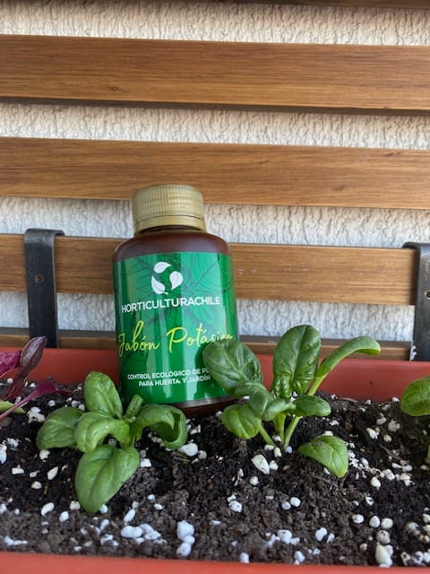Customer photo review of Jabón Potásico Concentrado