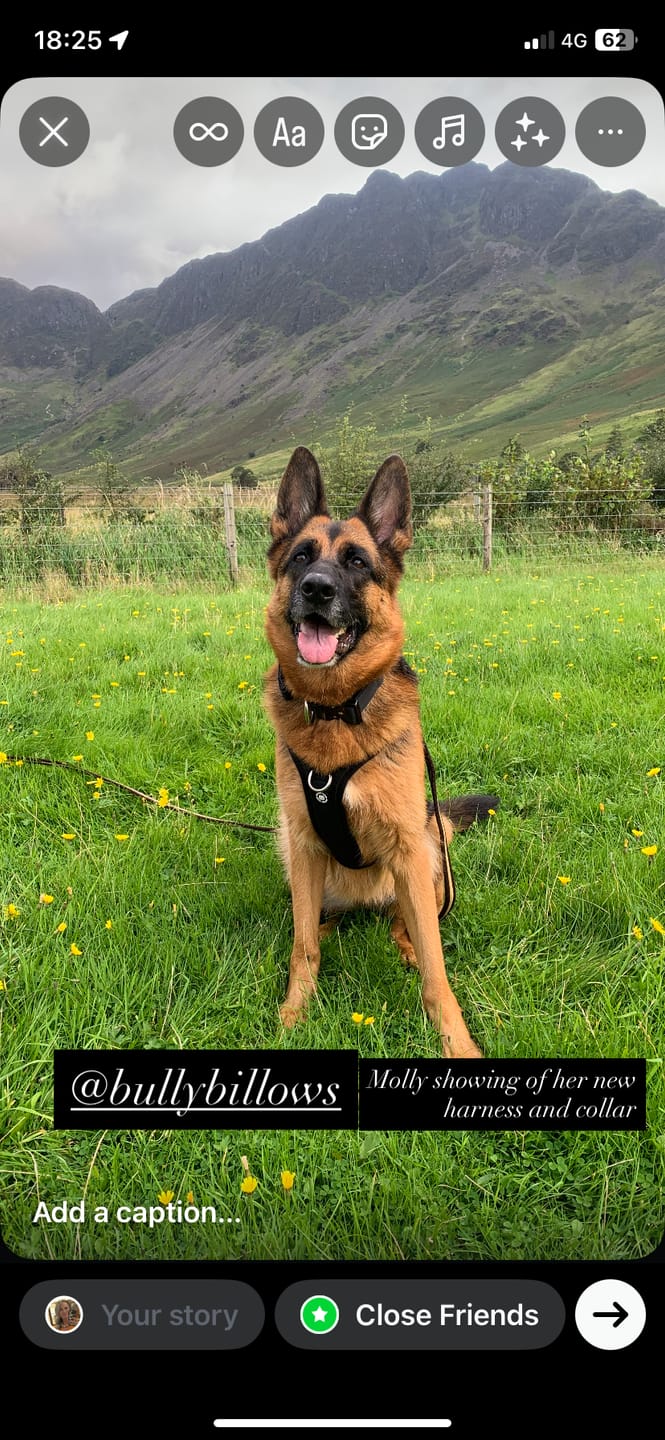 Customer photo review of 4cm Combat® Collar | Handle & Rated Clip - Black